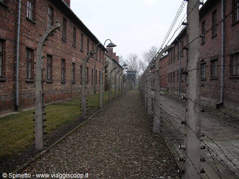 Auschwitz