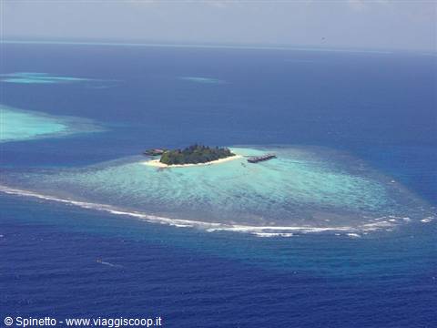 Coral island with sandy beach surrounded by turquoise reef and blue ocean