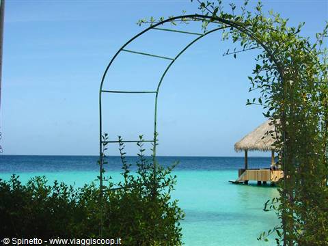 Metal arch covered with climbing plants over turquoise lagoon, thatched hut on sea