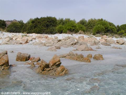 Bidderosa