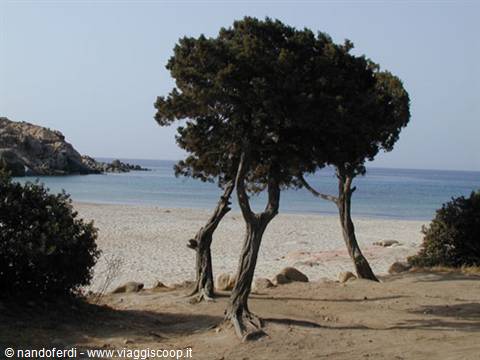 Cala Cipolla