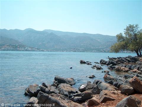 Grey rocks along the seashore, green tree on the right, blue mountains