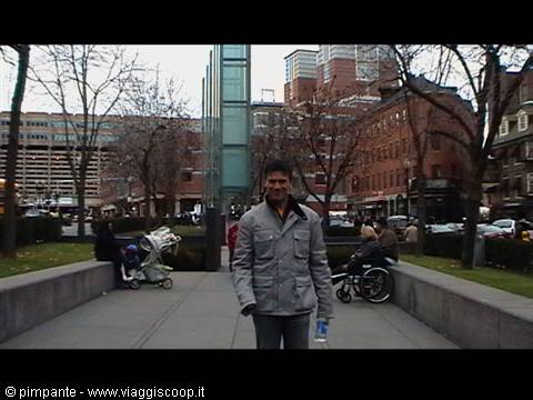 Smiling man in gray jacket poses in urban park with glass tower