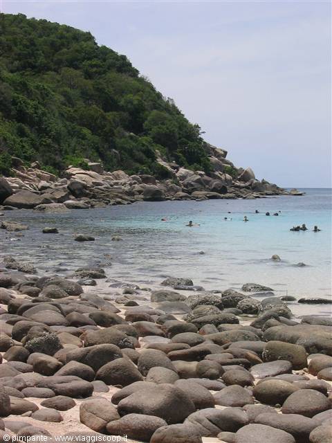 koh tao