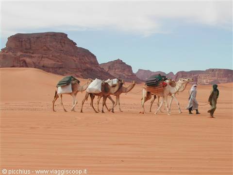 Tuareg on the move