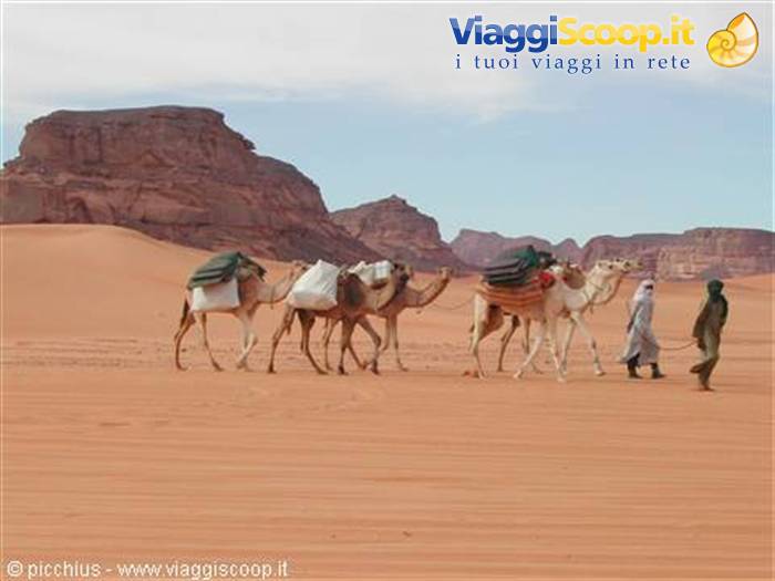Tuareg on the move