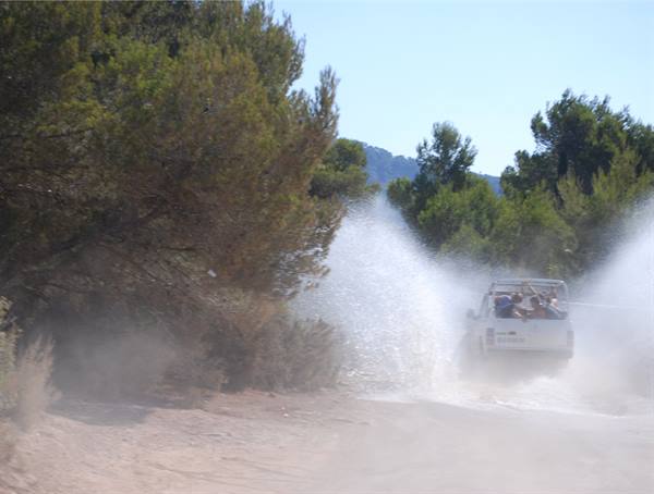 White jeep with tourists splashing through a puddle on dusty pine-lined road
