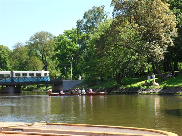 THE GARDENS FROM THE BOAT