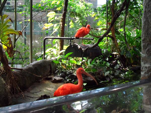 UNIVERSEUM