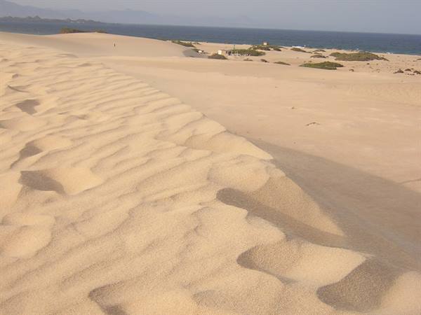 THE SAND DUNES