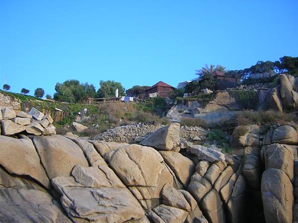REEF AT THE CAMPSITE