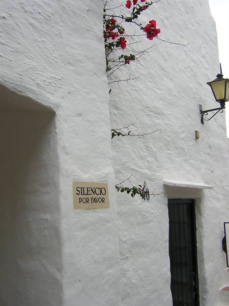 BINIBEQUER