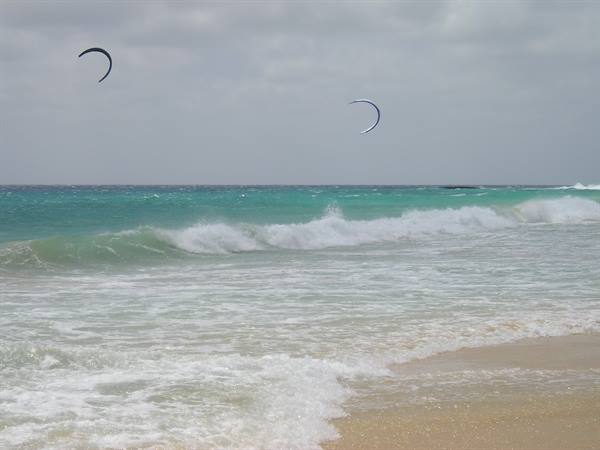 Surfers on the horizon