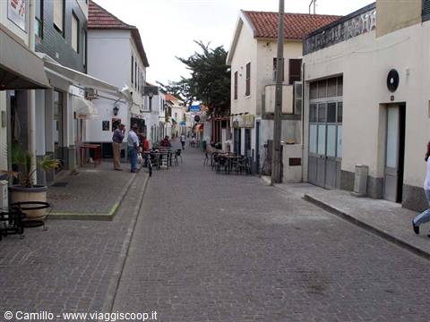 Avenue