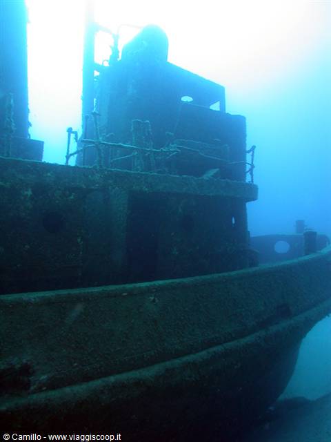 Sunken shipwreck covered in algae, underwater in blue light
