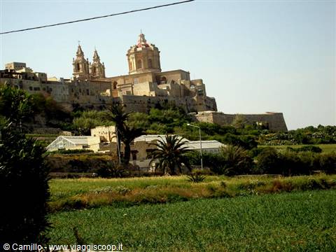 Mellieħa parish church above stone houses, palm trees and green fields under clear sky