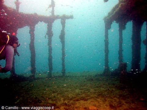 Diver among metal pilings of a sunken wreck surrounded by small fish