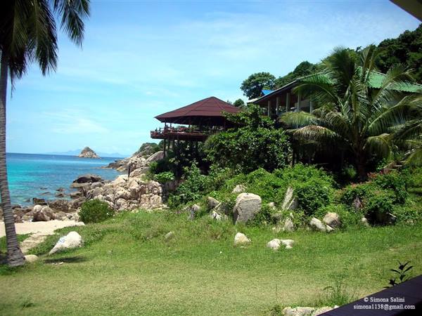 koh tao