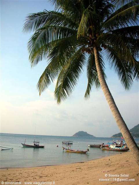 sunset ko tao