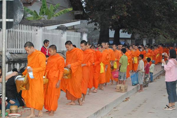 Orange-robed monks collect alms at dawn, kneeling devotees offer rice