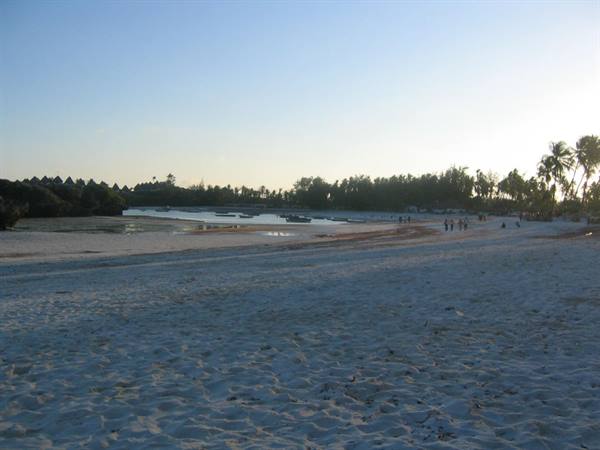 White sand beach with moored boats and palm trees, people walking along the shore