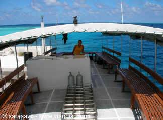 Asdu - Engel Shark diving dhoni