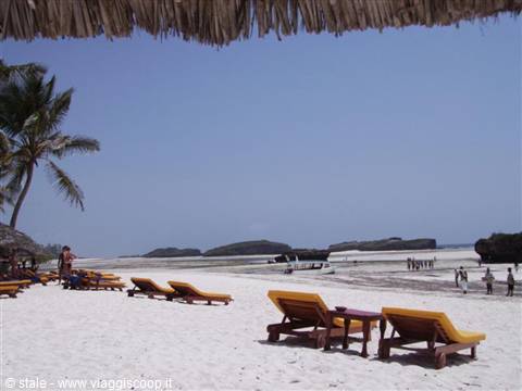 Yellow loungers under thatched shade on white sand, palm and tourists ashore