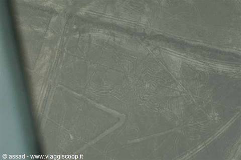 SPIDER - Nazca