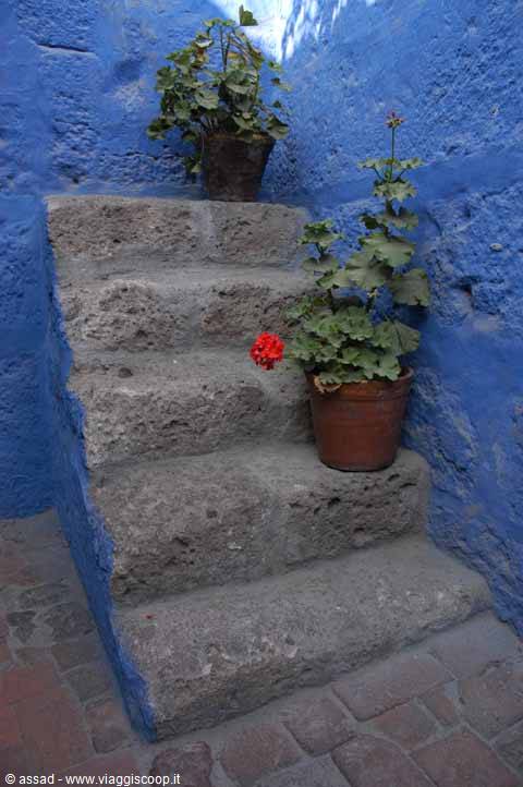 Stone staircase between blue walls, pots with red geraniums