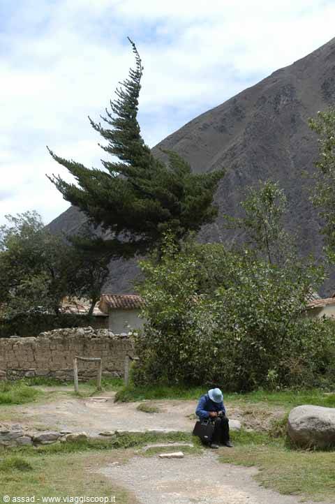 Tourist sitting near adobe walls and pine tree beneath the Andean mountain