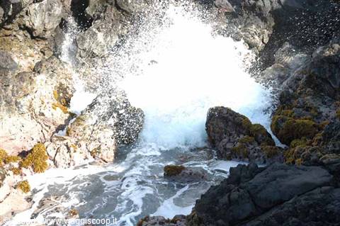 Wave crashing on dark rocks, white foam and seaweed