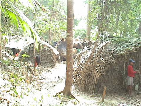 Aboriginal village