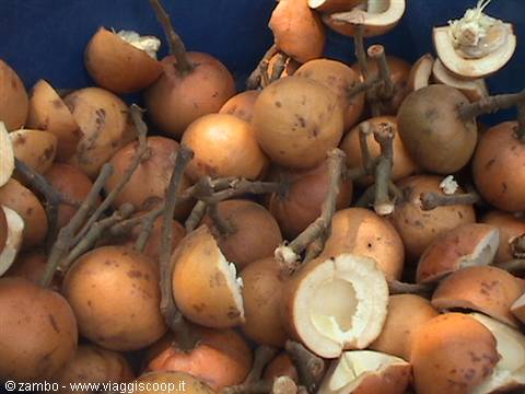 Local fruit