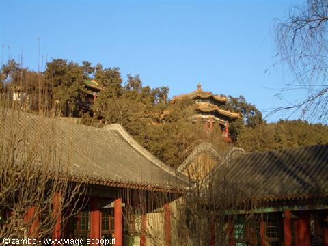 Summer Palace