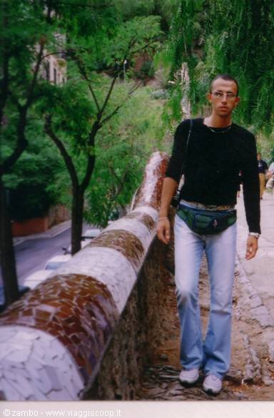 In Gaudí's park