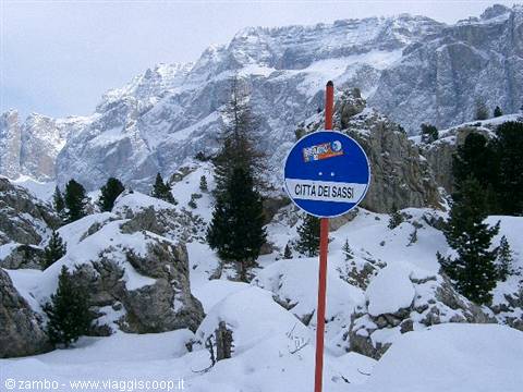 Blue Città dei Sassi sign on red pole amid snowy rocks and firs, Dolomites