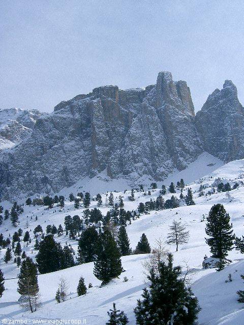 Snow-covered Dolomite rock towers above a forest of conifers