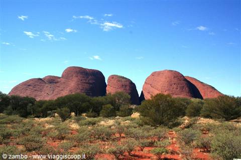 Red domes of Kata Tjuta rise above desert scrub under a blue sky