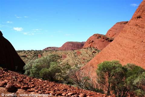 Red domes of Kata Tjuta rising above green shrubs and red stones