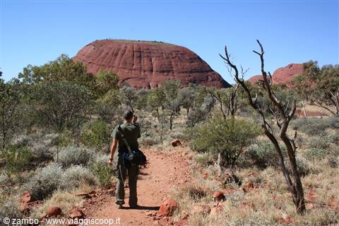 Hiker on sandy trail toward Kata Tjuta, red rock domes amid arid shrubs