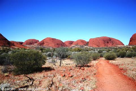 Red sandy trail through shrubs toward the domed rocks of Kata Tjuta