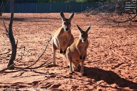 What a couple....