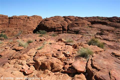 Red sandstone rocks and spinifex bushes at Kings Canyon