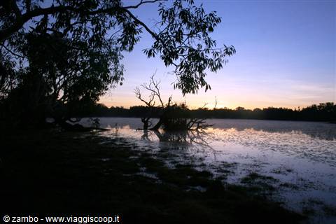 Sunrise at Kakadu