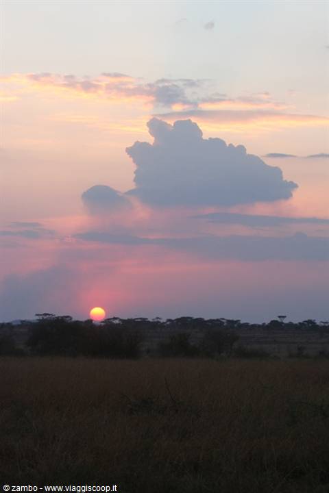 Fiery sunset