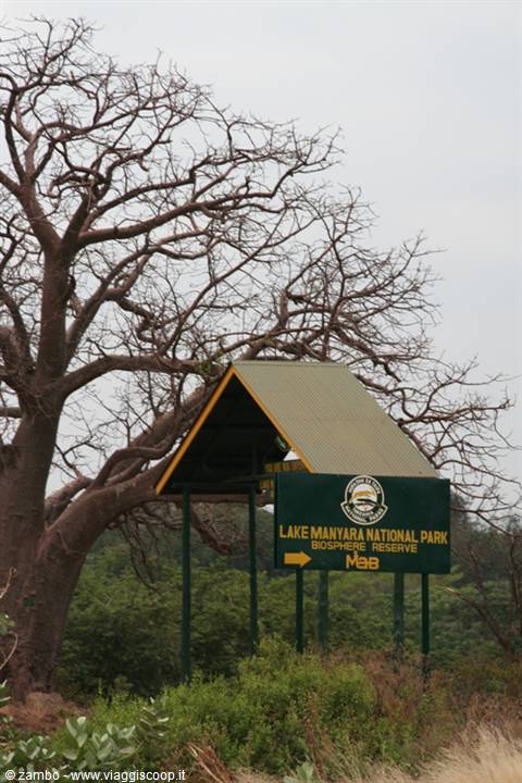 At Lake Manyara