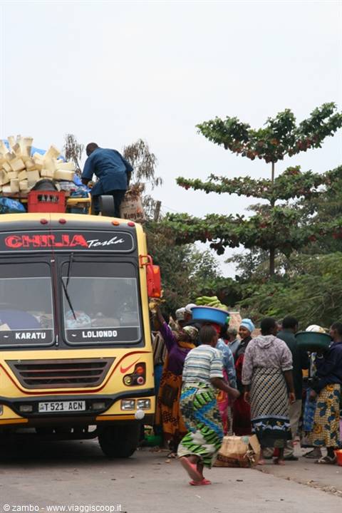 Public transport