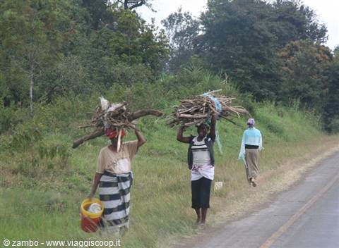 Along the road to Moshi