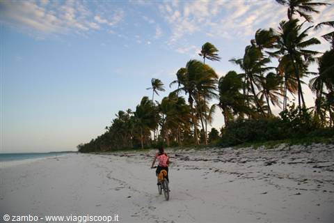 Biking on the beach