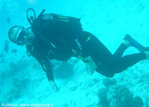 Claudio Diver.....discovering the depths